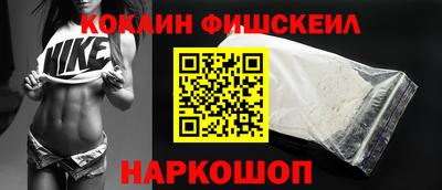крисы Славгород