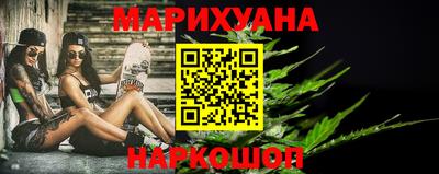 крисы Славгород