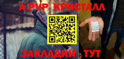крисы Славгород