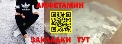 крисы Славгород